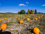 Vermont 002